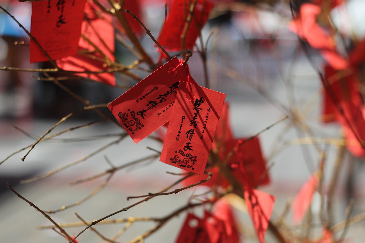 外国互惠生的中国新年